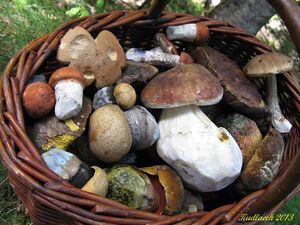 Klikni pro velký obrázek