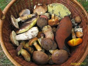 Klikni pro velký obrázek