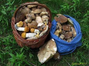 Klikni pro velký obrázek