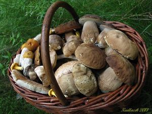 Klikni pro velký obrázek