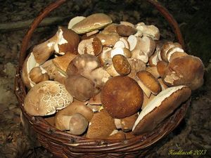 Klikni pro velký obrázek