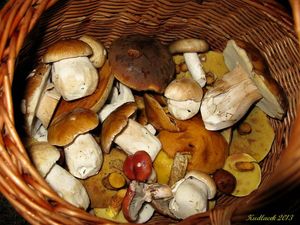 Klikni pro velký obrázek