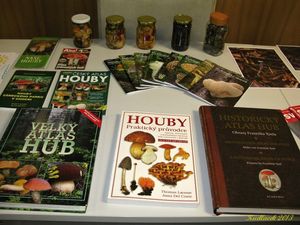 Klikni pro velký obrázek