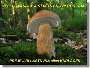 Klikni pro velký obrázek