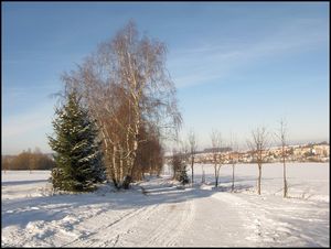 Klikni pro velký obrázek