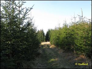 Klikni pro velký obrázek