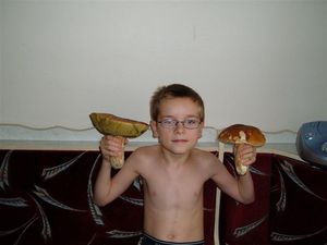 Klikni pro velký obrázek