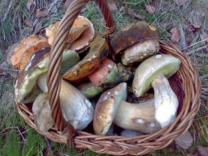 Klikni pro velký obrázek