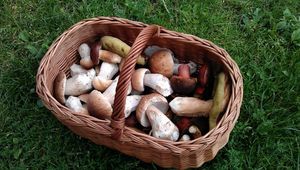 Klikni pro velký obrázek