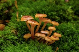 Klikni pro velký obrázek