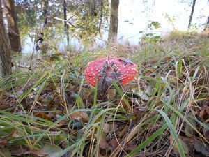 Klikni pro velký obrázek