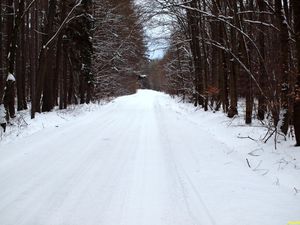 Klikni pro velký obrázek