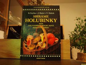 Klikni pro velký obrázek