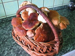 Klikni pro velký obrázek