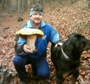 Klikni pro velký obrázek