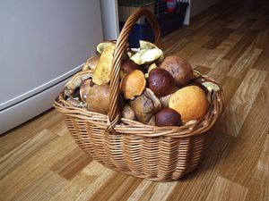 Klikni pro velký obrázek