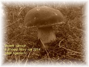 Klikni pro velký obrázek