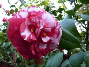 Klikni pro velký obrázek