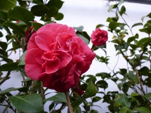 Klikni pro velký obrázek