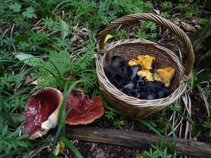 Klikni pro velký obrázek