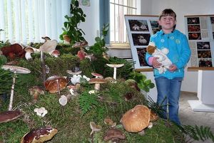 Klikni pro velký obrázek