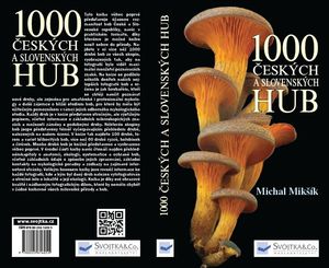 Klikni pro velký obrázek