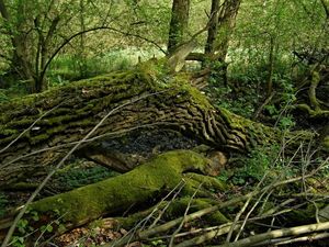 Klikni pro velký obrázek