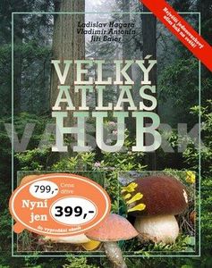 Klikni pro velký obrázek