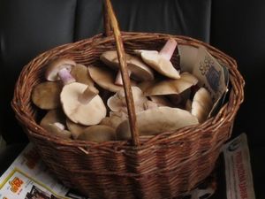 Klikni pro velký obrázek