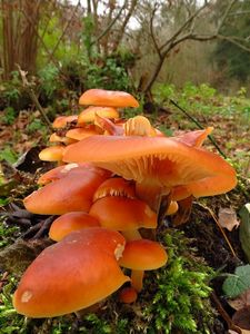 Klikni pro velký obrázek