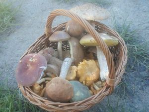 Klikni pro velký obrázek