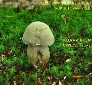 Klikni pro velký obrázek