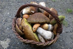 Klikni pro velký obrázek