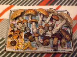 Klikni pro velký obrázek