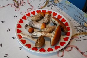 Klikni pro velký obrázek