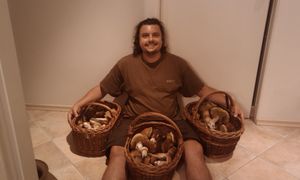 Klikni pro velký obrázek