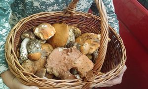 Klikni pro velký obrázek