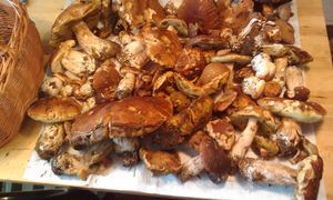 Klikni pro velký obrázek