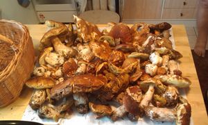 Klikni pro velký obrázek