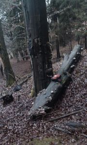 Klikni pro velký obrázek