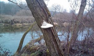 Klikni pro velký obrázek