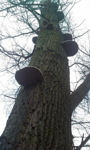 Klikni pro velký obrázek