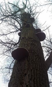 Klikni pro velký obrázek