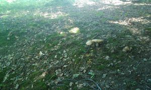 Klikni pro velký obrázek