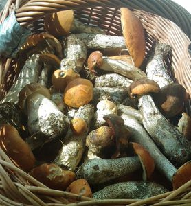 Klikni pro velký obrázek