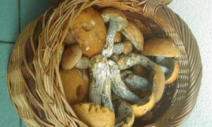 Klikni pro velký obrázek