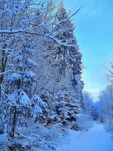 Klikni pro velký obrázek