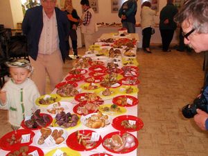 Klikni pro velký obrázek