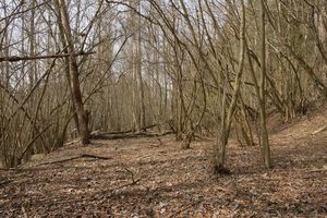 Klikni pro velký obrázek