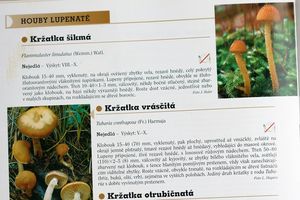 Klikni pro velký obrázek